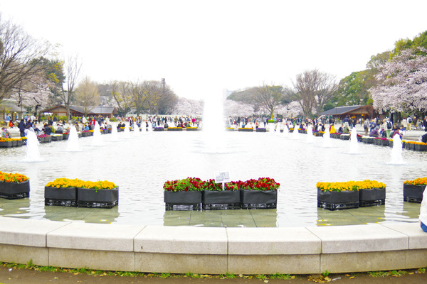 IMGP7759.jpg