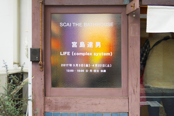 IMGP7784.jpg