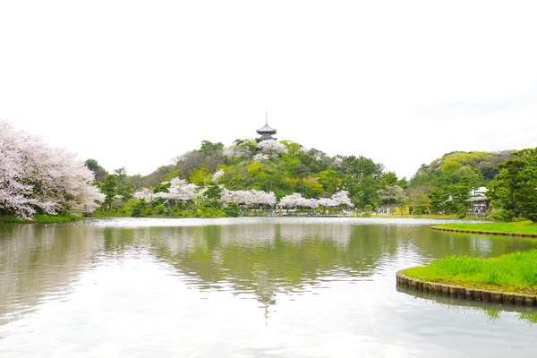 IMGP7963.JPG