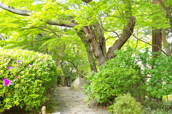 IMGP8022.jpg