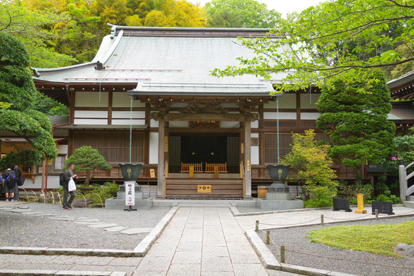 IMGP80663.jpg
