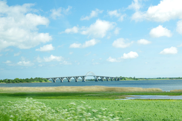 IMGP8425.JPG