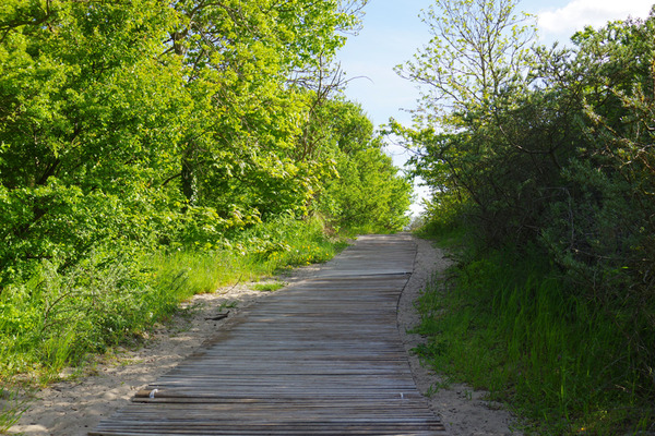IMGP8638.JPG