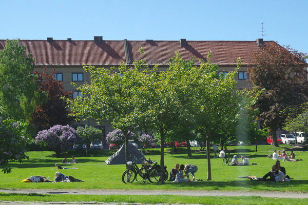 IMGP93621.JPG