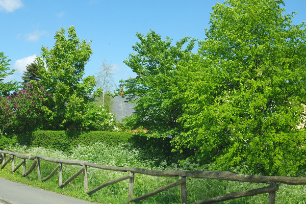 IMGP8440.JPG