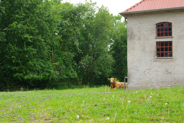 IMGP9530.JPG