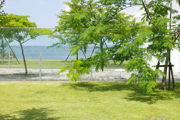 IMGP96036.jpg