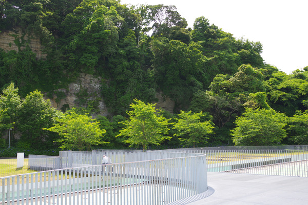 IMGP9630.jpg