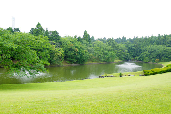 IMGP9745.jpg