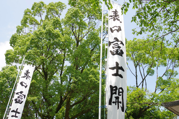 IMGP0317.JPG