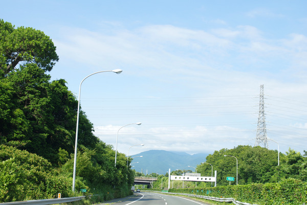 IMGP0365.JPG