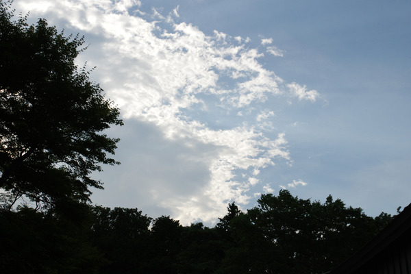 IMGP0412.jpg
