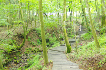 【夏たび・箱根①】のんびり山越え