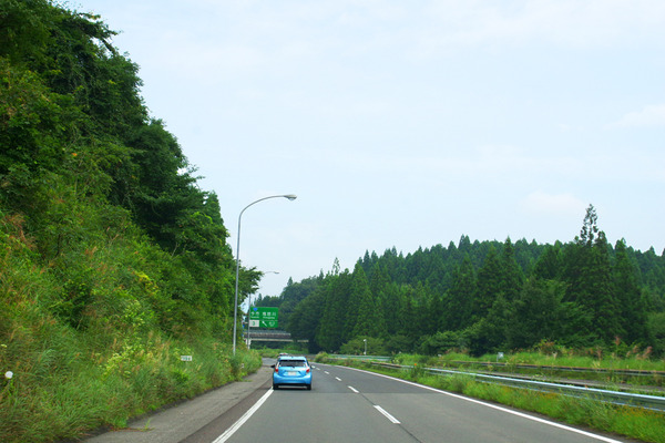 IMGP0790.jpg