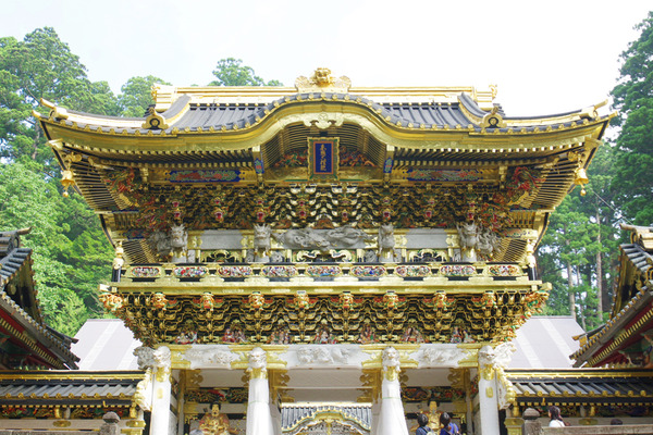 IMGP08114.jpg