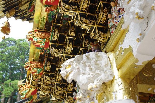 IMGP08215.jpg