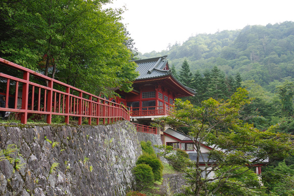 IMGP0910.jpg