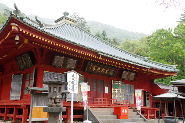 IMGP0911.jpg
