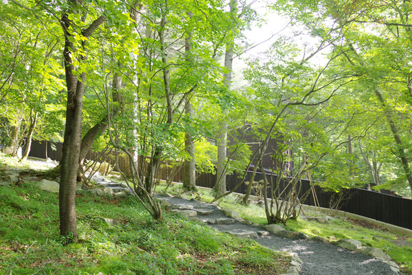 IMGP0915.jpg