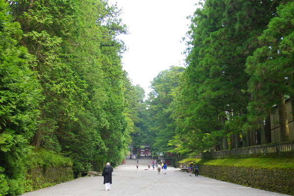 IMGP10795.jpg