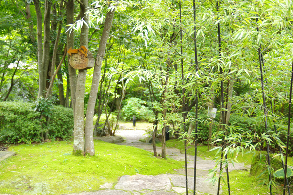 IMGP1191.jpg
