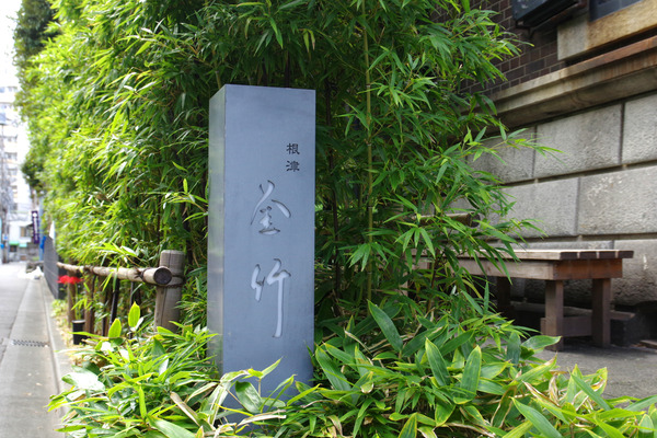 IMGP1387.JPG