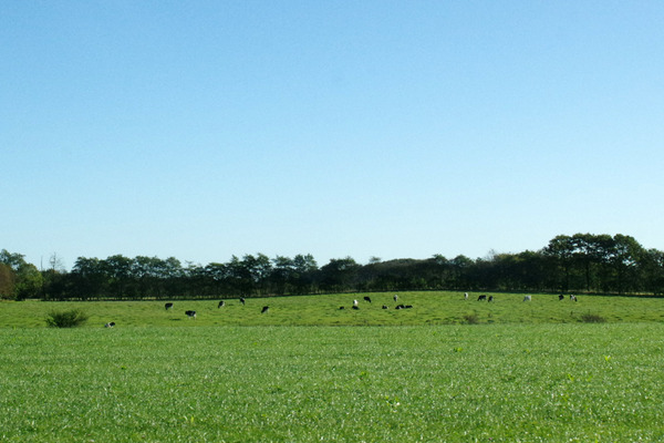 IMGP1677.JPG