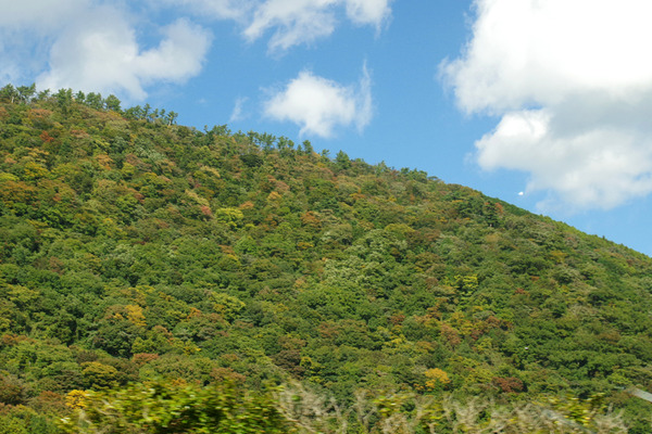 IMGP2597.jpg