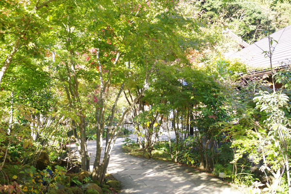 IMGP2624.jpg