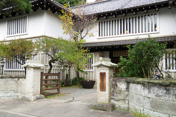 IMGP3031.jpg