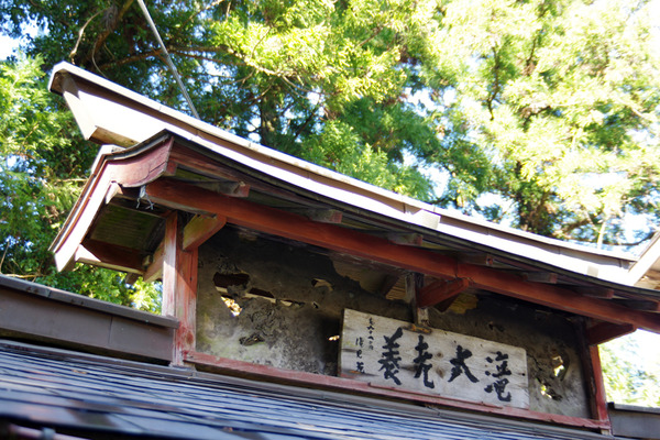IMGP3075.jpg