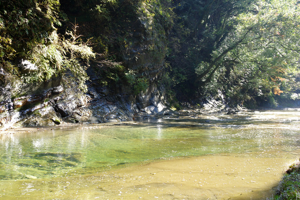 IMGP3194.jpg