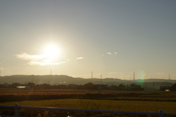IMGP32548.jpg
