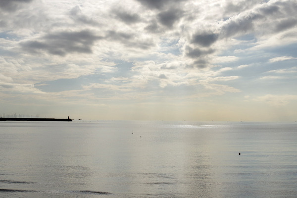 IMGP3317.JPG
