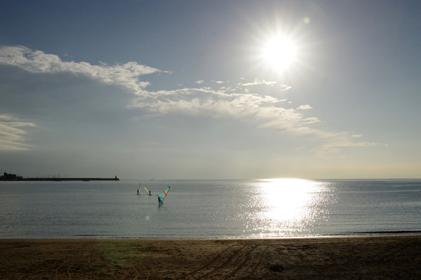 IMGP33456.JPG