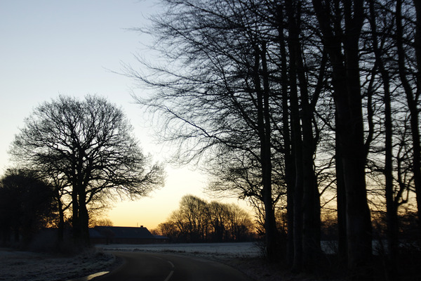 IMGP3553.JPG