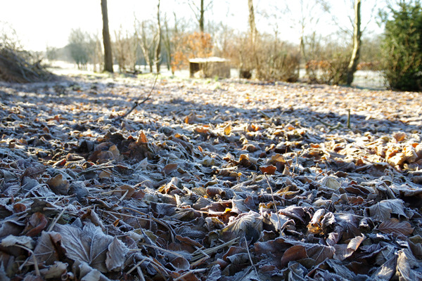 IMGP3568.JPG