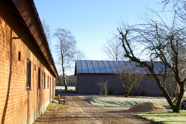 IMGP3570.JPG