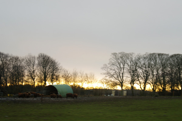 IMGP3628.JPG