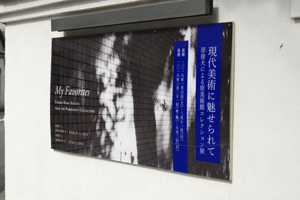 IMGP4131.JPG