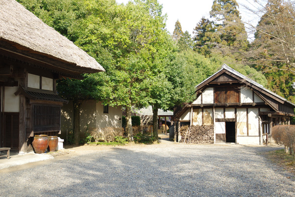 IMGP4631.JPG