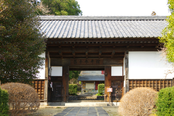 IMGP4695.JPG