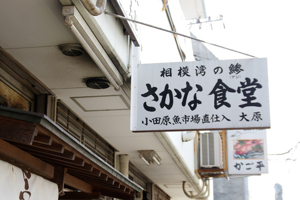 IMGP4775.JPG