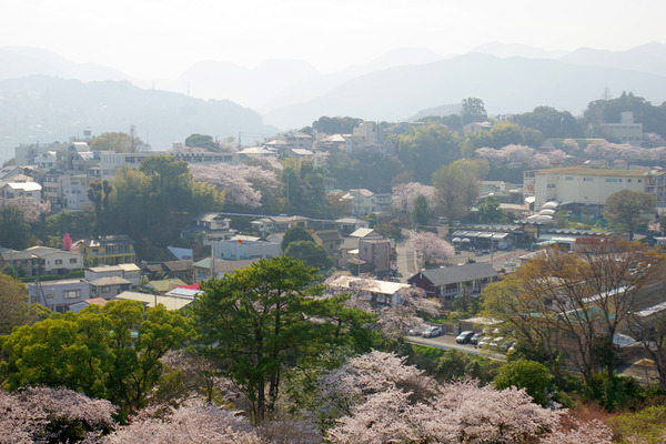 IMGP4844.JPG