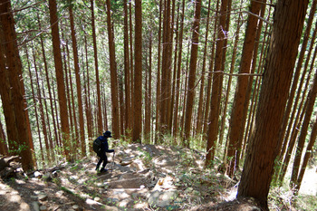 【trekking spring】御岳山 1 ＠東京 奥多摩