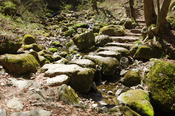 IMGP5222.JPG