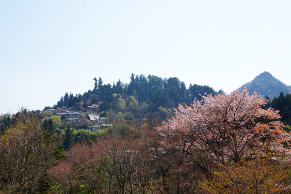 IMGP5354.JPG