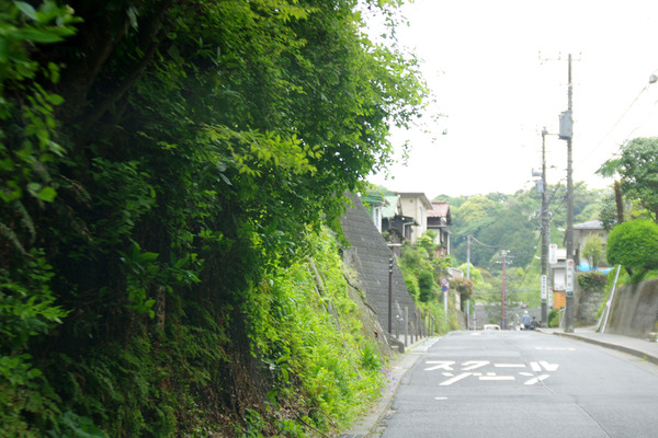 IMGP5493.JPG