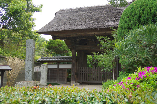 IMGP5503.JPG