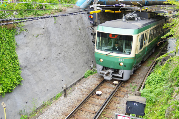 IMGP5506.JPG